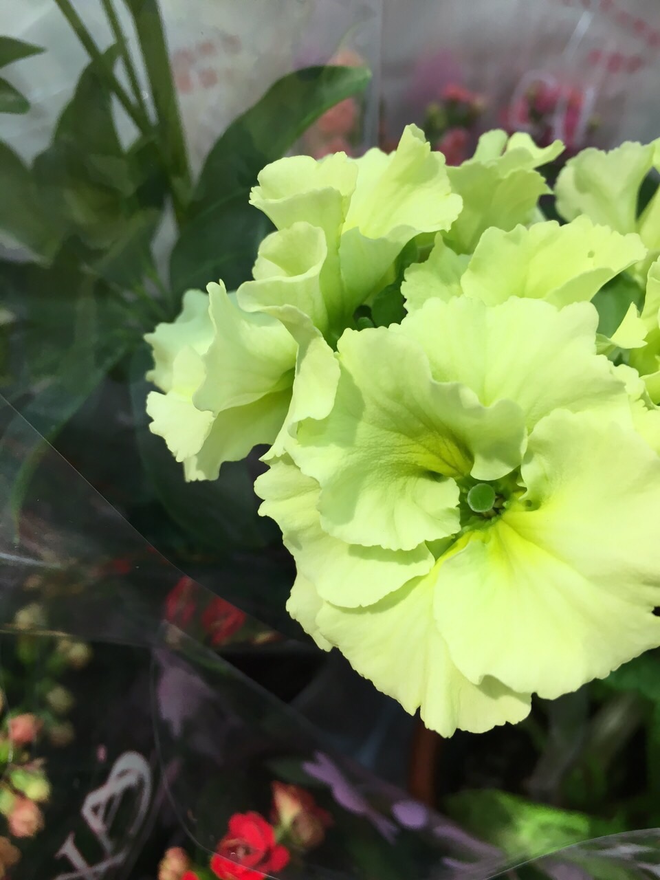 続：上砂川町の人のあたたかさ