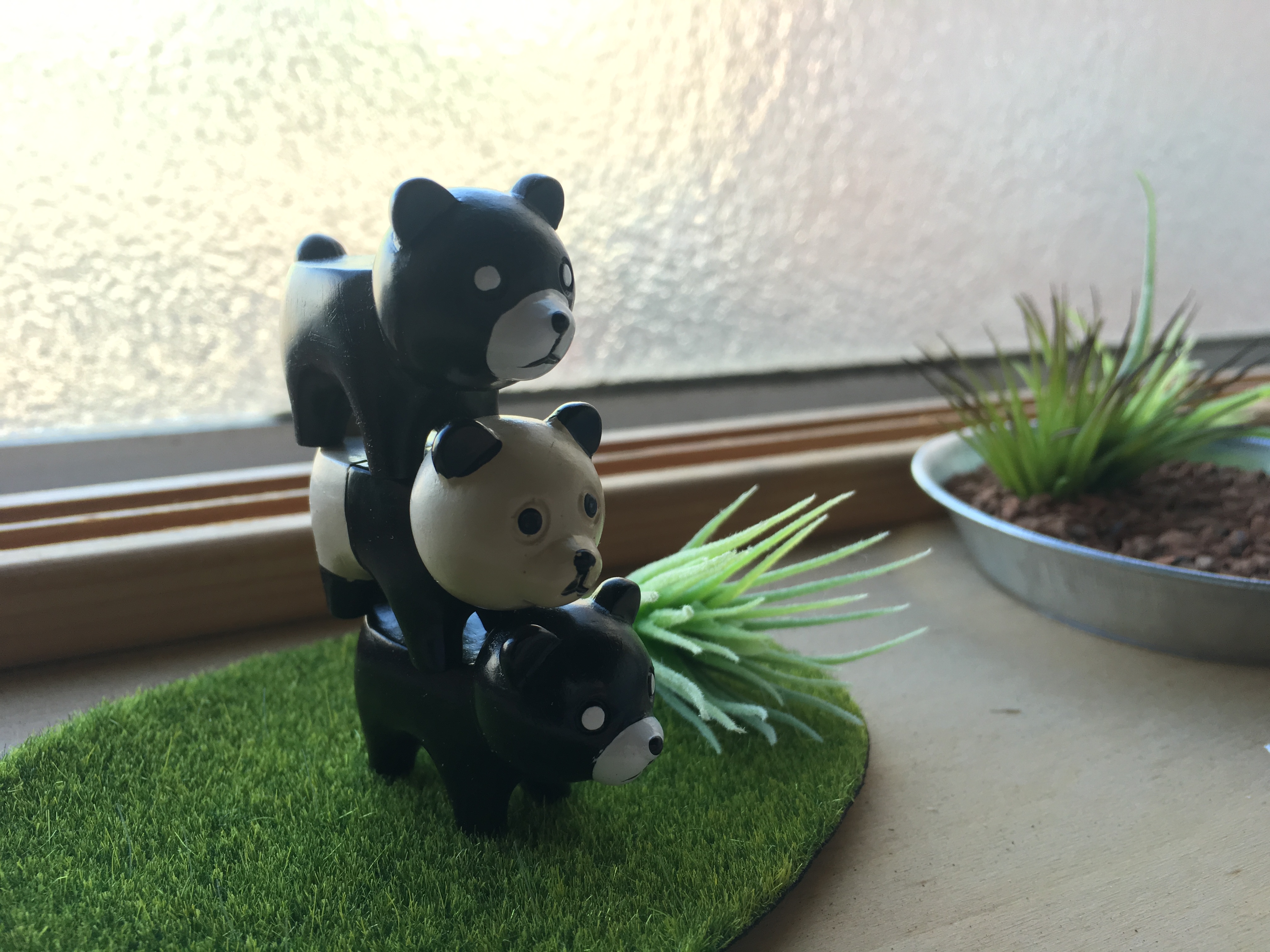 ふ、冬がきたー！！