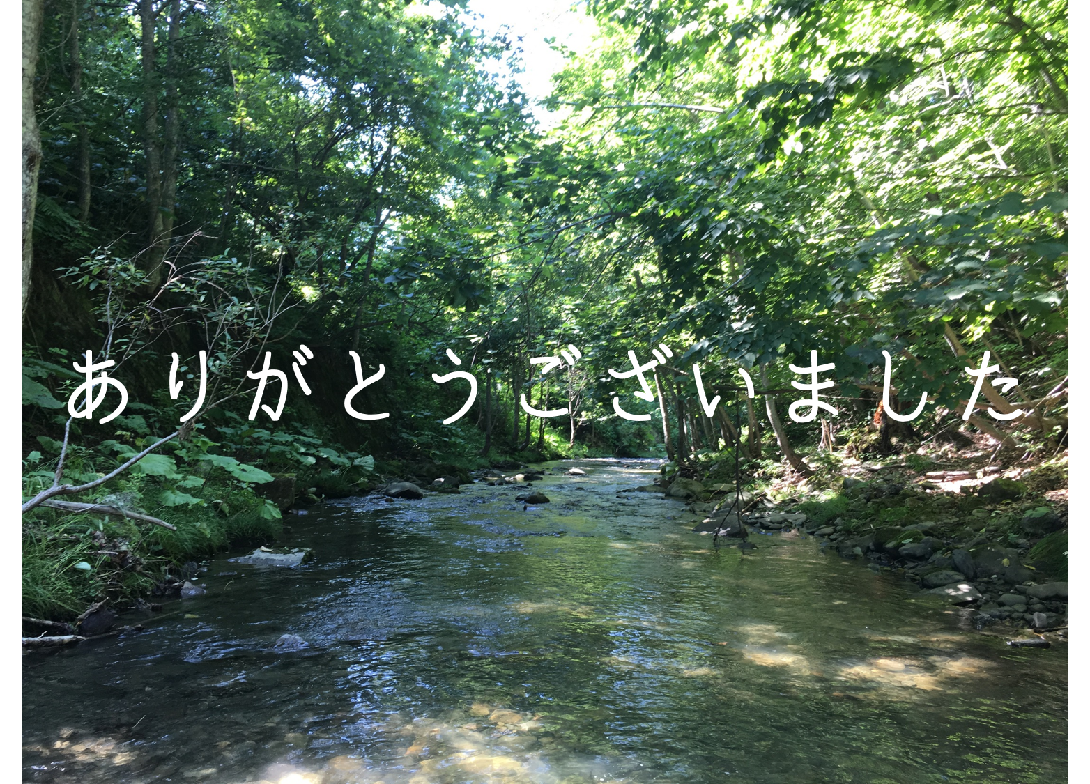 お客様に支えられて10月！