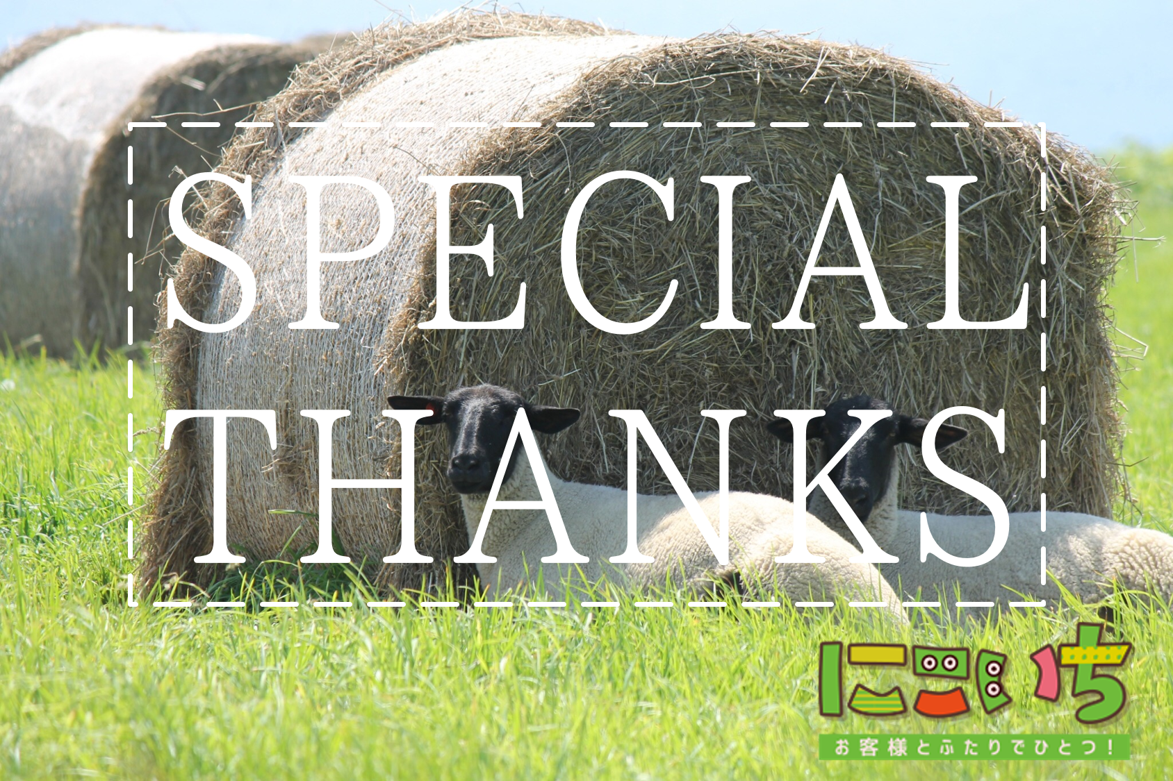 お問合せありがとうございました！ホームページの新規制作について