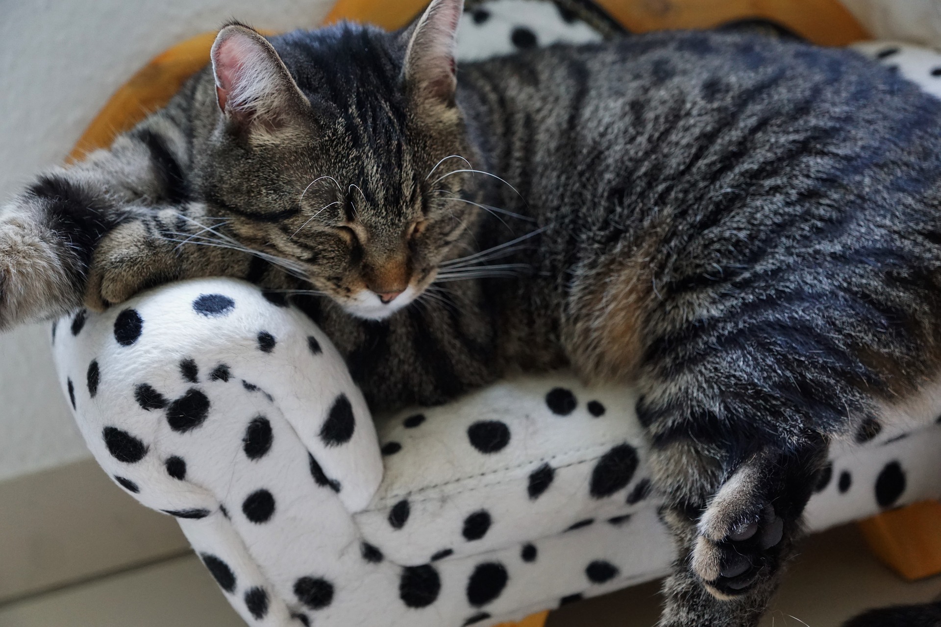 サトウキビ畑に行くまで！