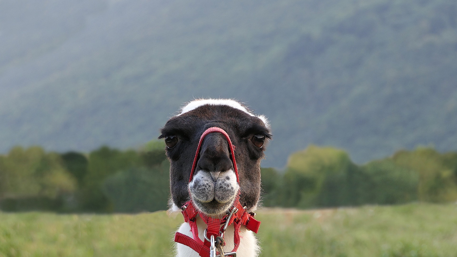 ５月病☆帯広に帰って～戻ってきました！