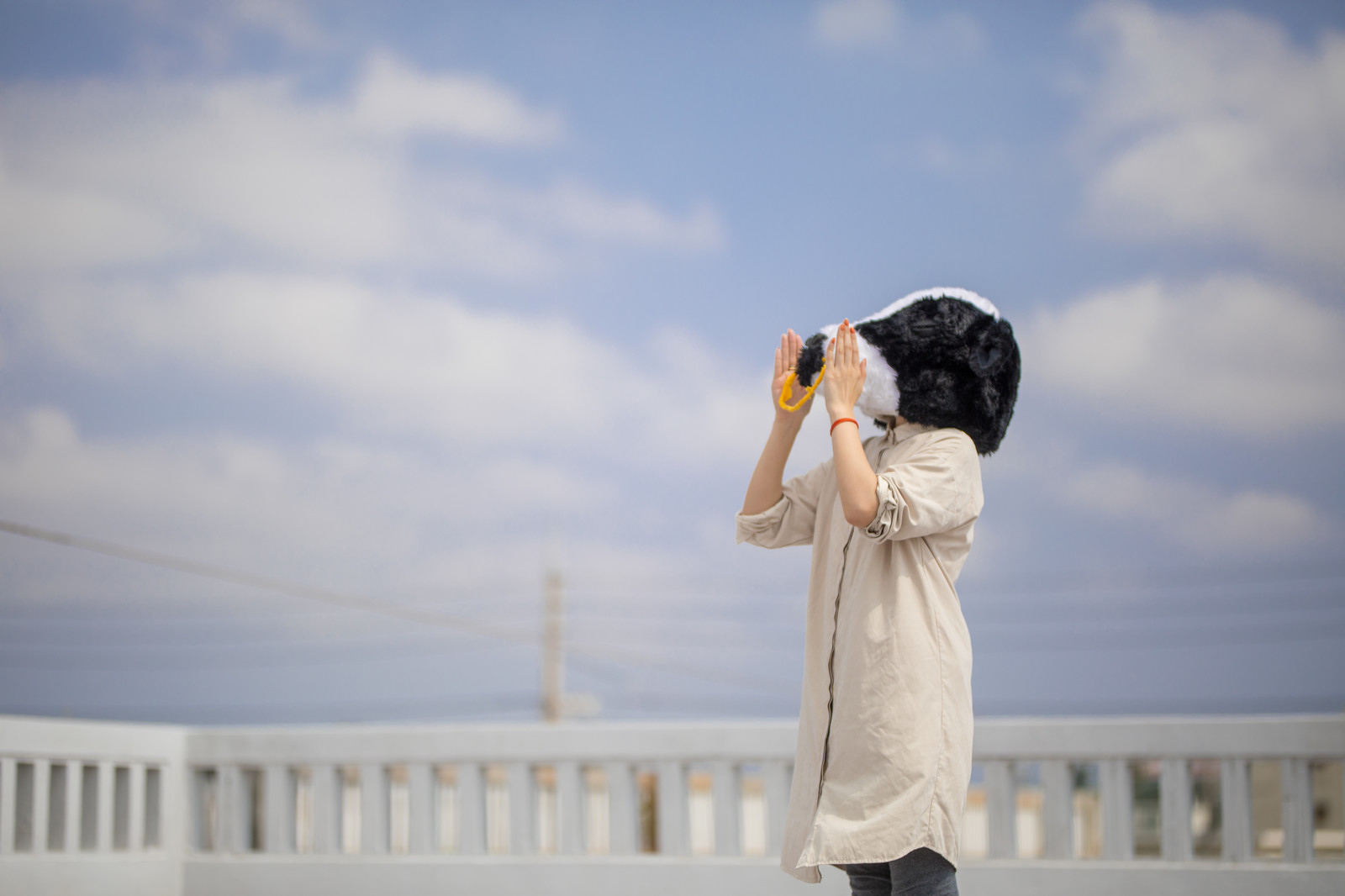 お久しぶりでございまするわたしです。