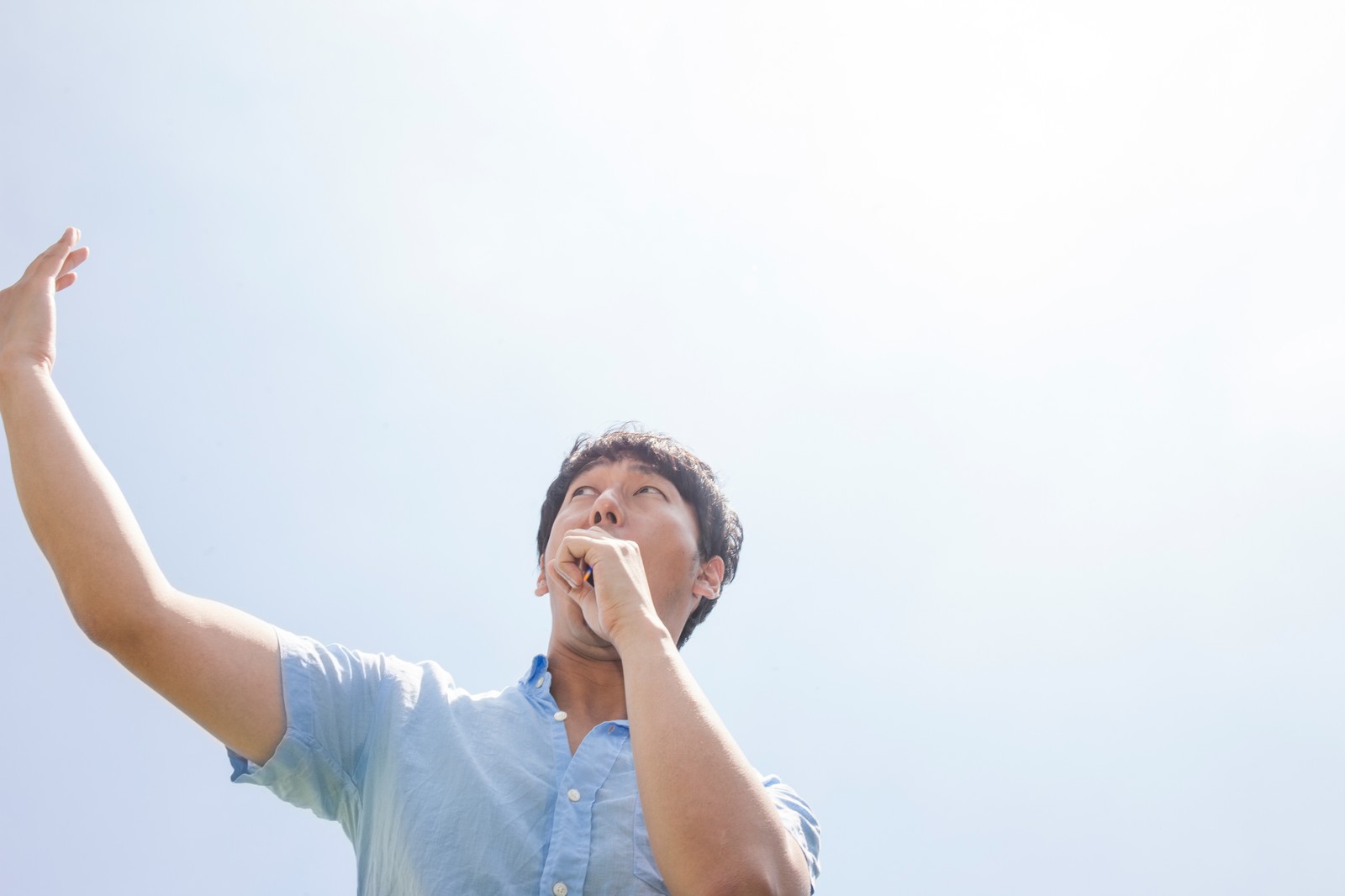 めっちゃライジングサンいきたい。