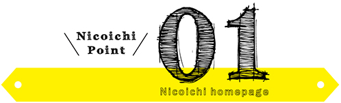 Nicoichi Point 01 Nicoichi homepage