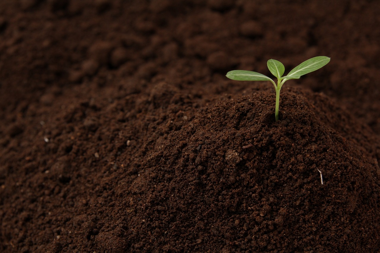 サイト公開からお問い合わせが来るまで